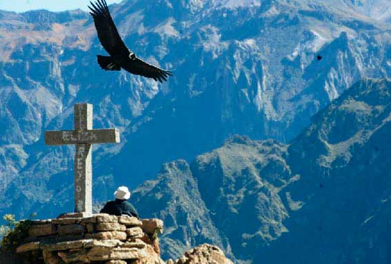 Viajes vuelo de los Condores - Arequipa Tour