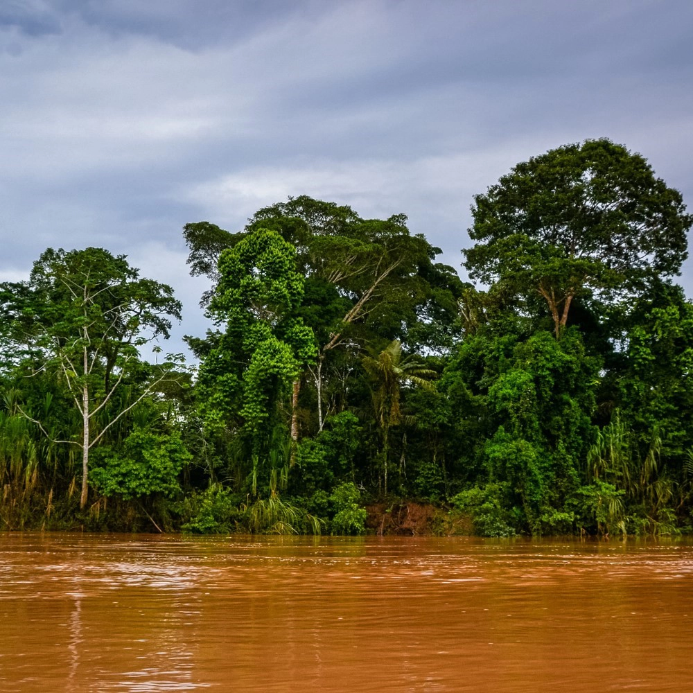 Alto Madre de Dios Río