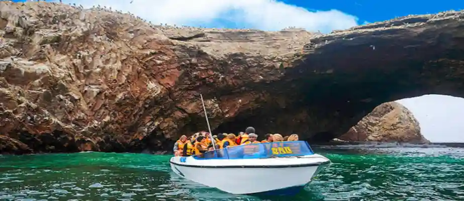 Ballestas Islands - Ica